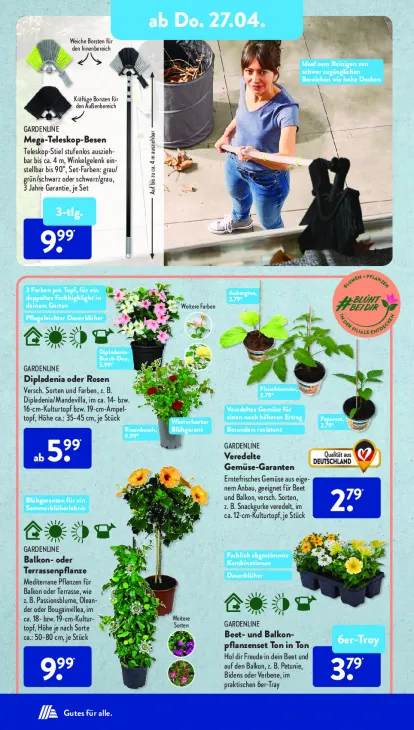 Balkon- oder Terrassenpflanze