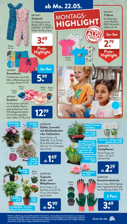 Dahlie, Lavendel mit Muehlenbeckia oder Calibrachoa