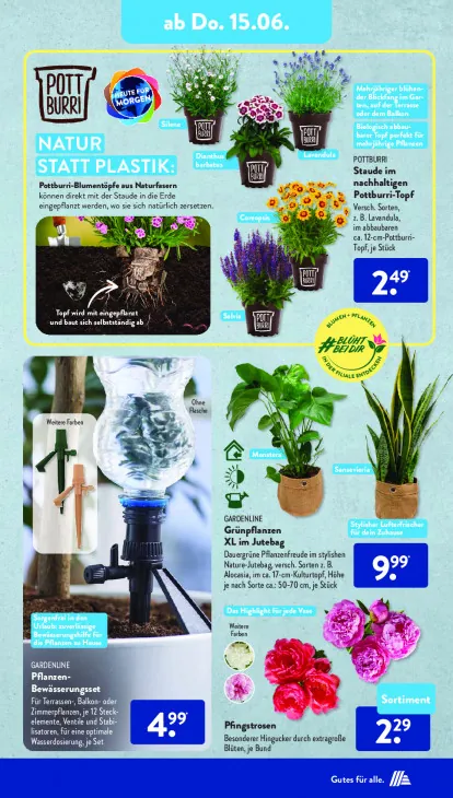 Grünpflanzen XL im Jutebag