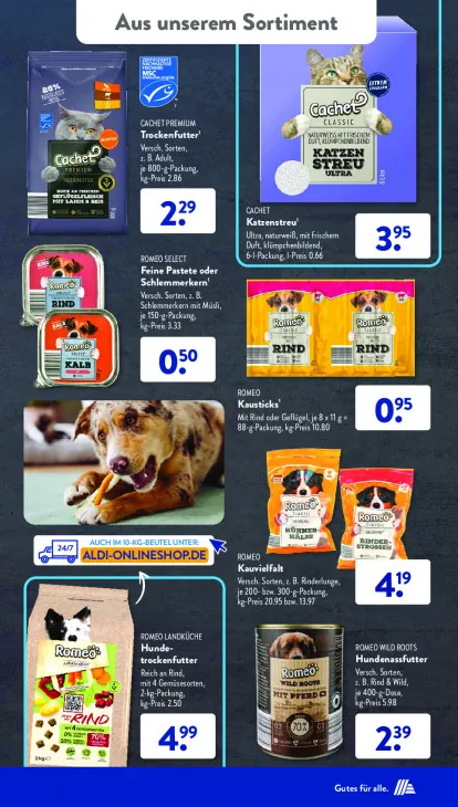 Feine Pastete oder Schlemmerkern