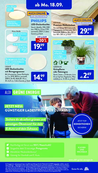 Grünpflanze oder Katzengras