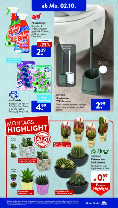 Borstenlose WC-Garnitur