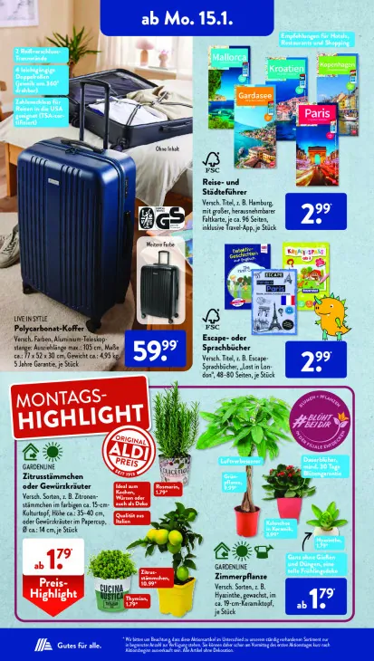 Escape- oder Sprachbücher