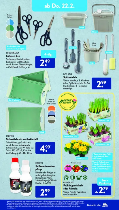 Frühlingszwiebeln oder Primeln