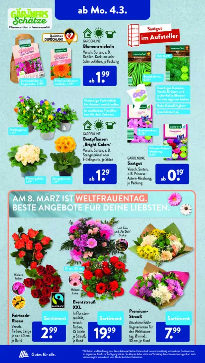 Beetpflanzen „Bright Colors“