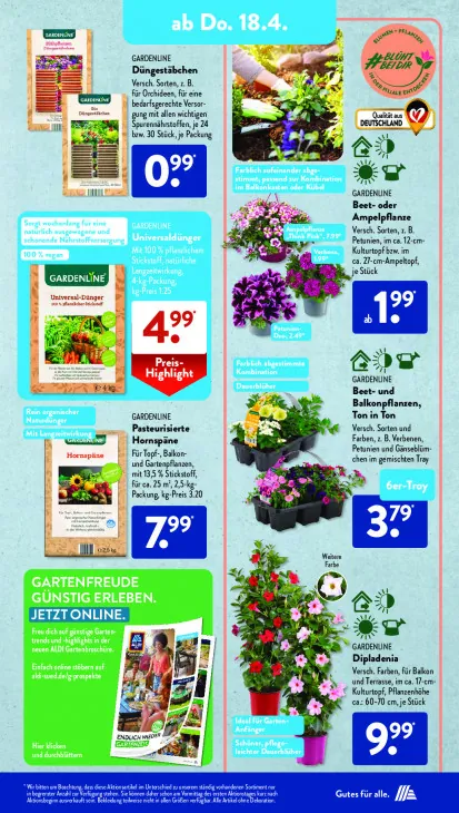 Beet- oder Ampelpflanze