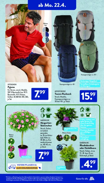 Margeriten-Stämmchen