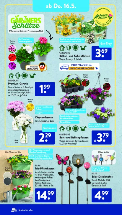 Balkon- und Kübelpflanzen