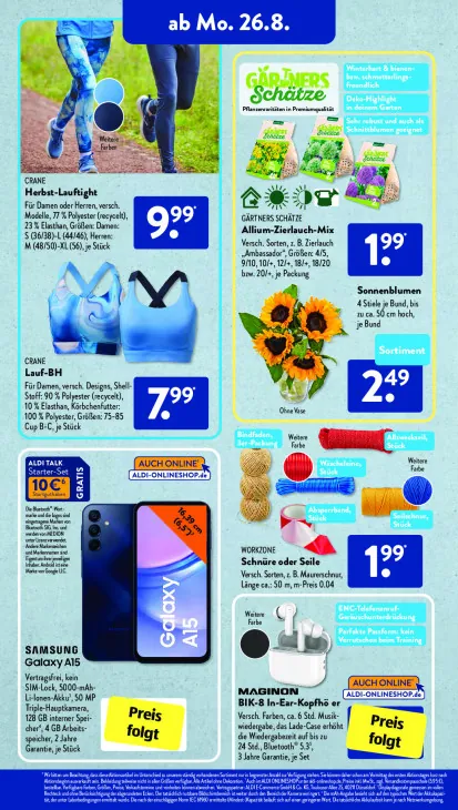 Allium-Zierlauch-Mix