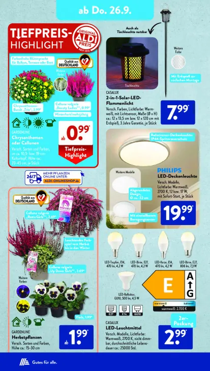 2-in-1-Solar-LED-Flammenlicht