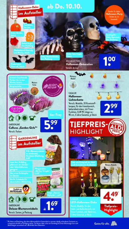 Calluna "Garden Girls"