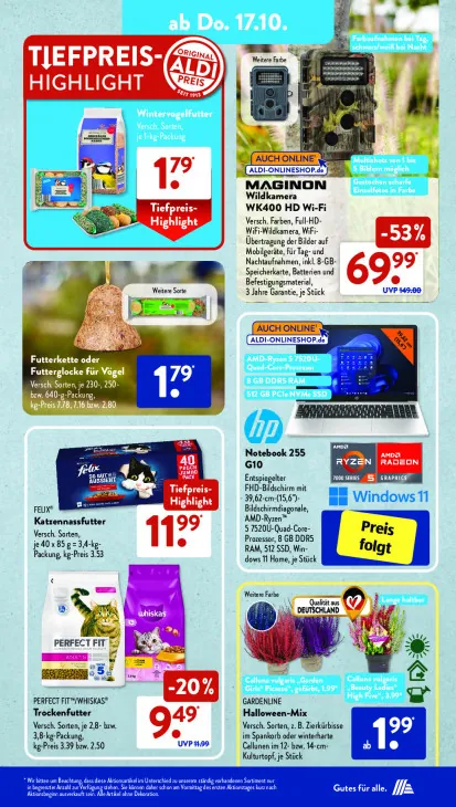 Calluna vulgaris "Beauty Ladies High Five"