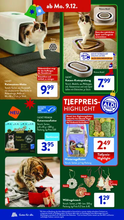 Katzen-Kratzspielzeug