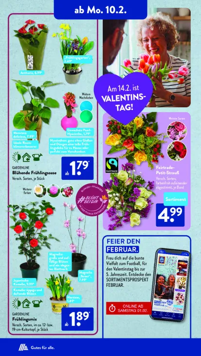 Blühende Frühlingsoase