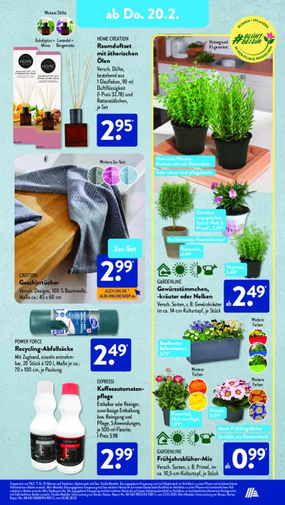 Frühjahrsblüher-Mix