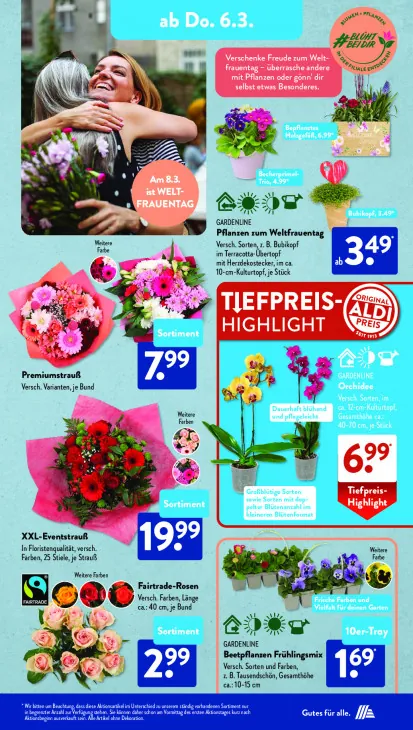 Beetpflanzen-Frühlingsmix