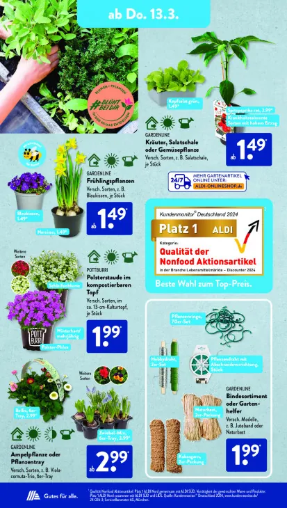 Ampelpflanze oder Pflanzentray