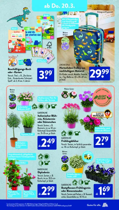 Beetpflanzen-Frühlingsmix