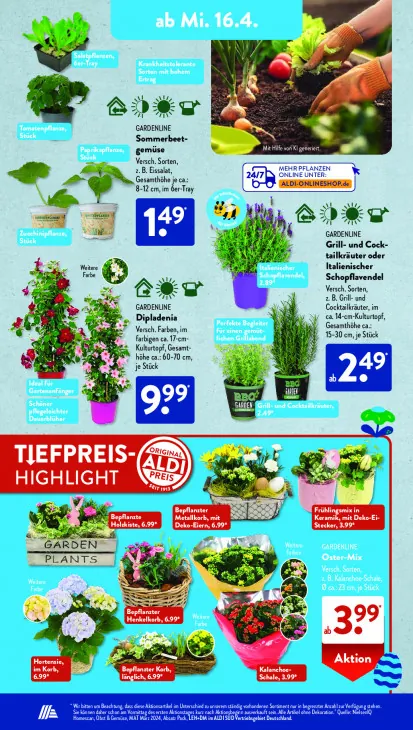 Bepflanzte Holzkiste