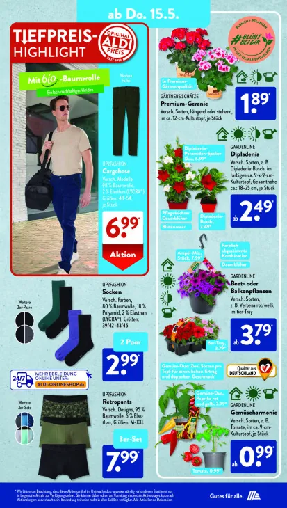 Beet- oder Balkonpflanzen