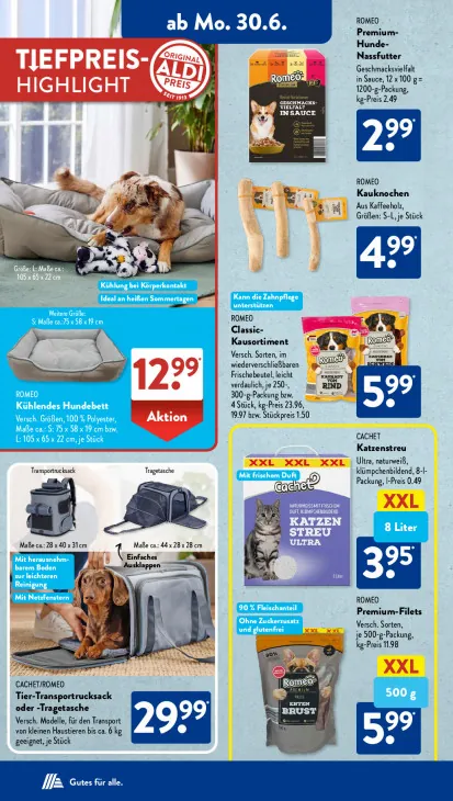 Kühlendes Hundebett