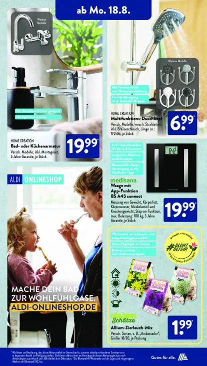 Allium-Zierlauch-Mix