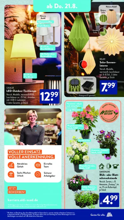 Blüh- oder Blattschmuckstaude