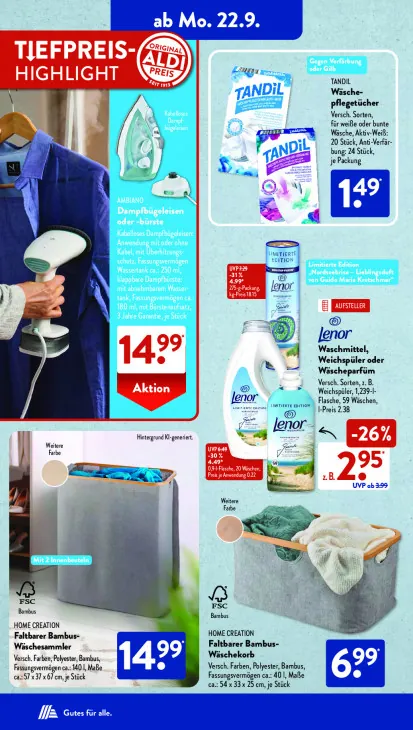 Dampfbügeleisen oder -bürste