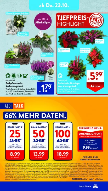 Calluna Garden Girls