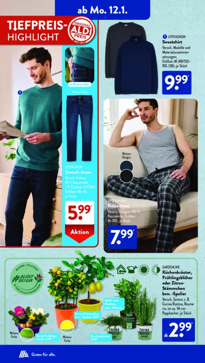 Küchenkräuter, Frühlingsblüher oder Zitrus-Stämmchen bzw. -Spalier