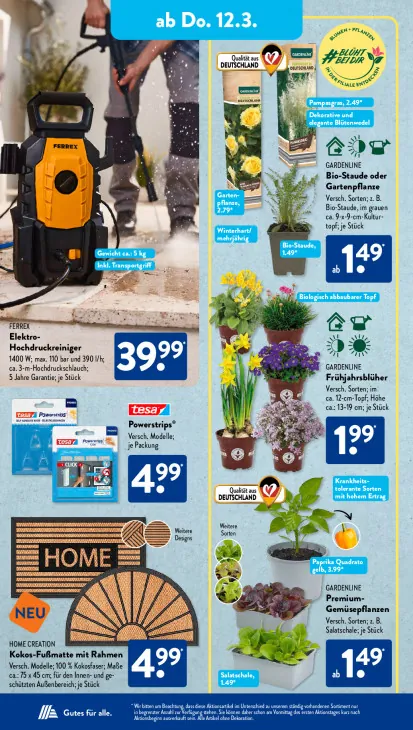 Bio-Staude oder Gartenpflanze