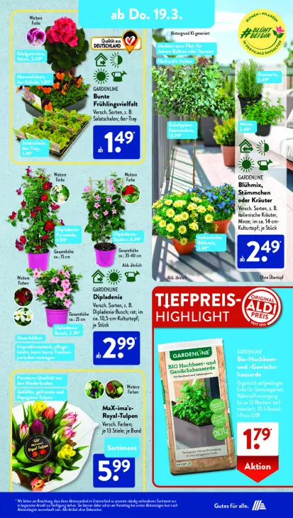 Bio-Hochbeet- und -Gewächshauserde