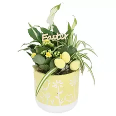 Bepflanzter Betontopf gelb