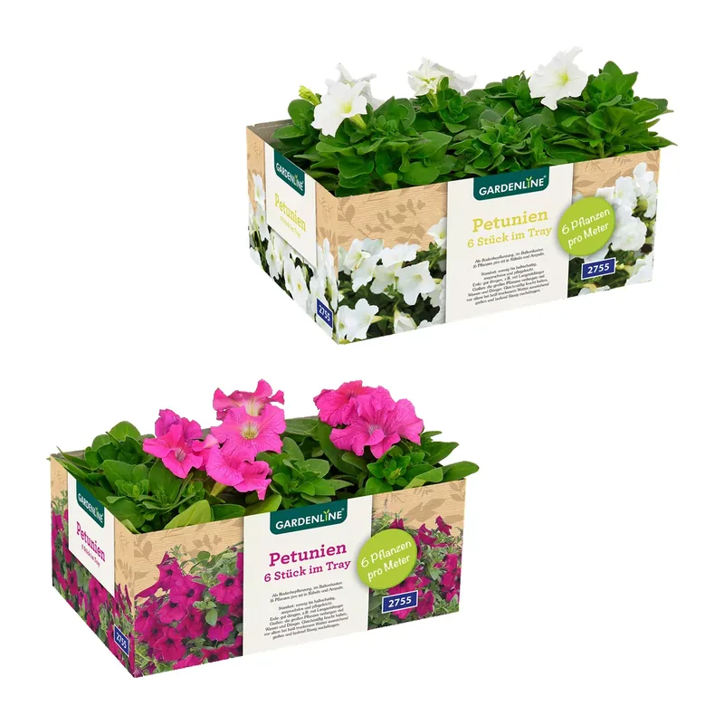 Beet- / Balkon- / Kübelpflanzen