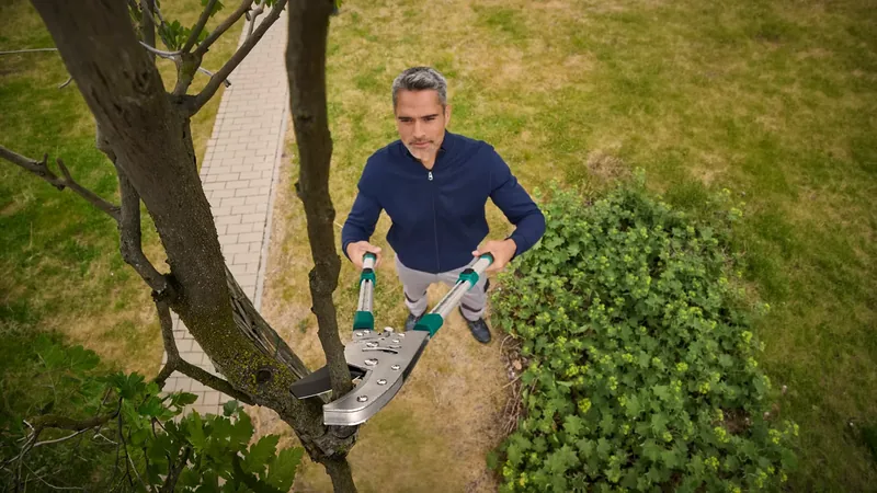 Teleskop-Getriebe-Ratschenschere