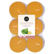 Citronella-Teelichte, Maxi-Lichte