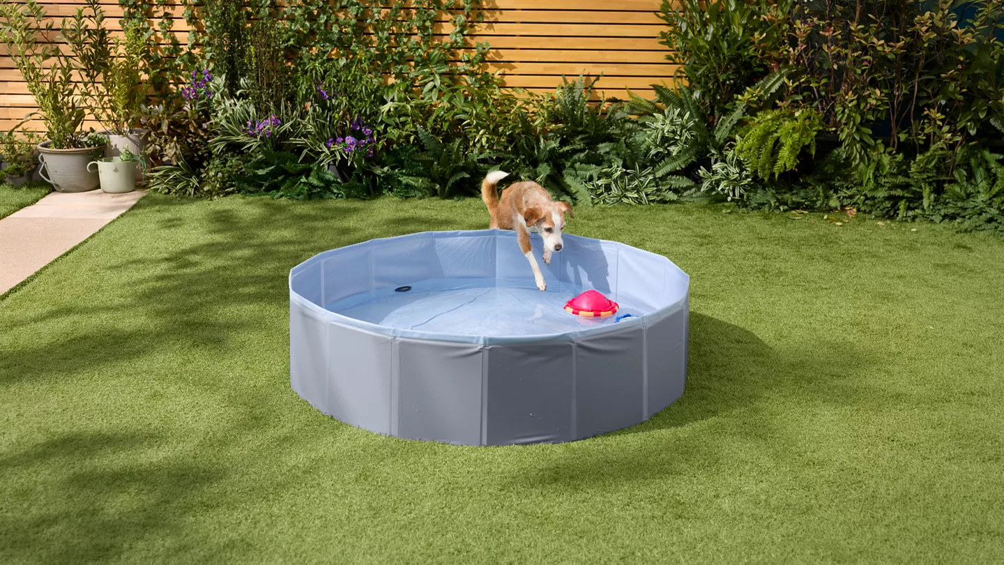 Faltbarer Hundepool