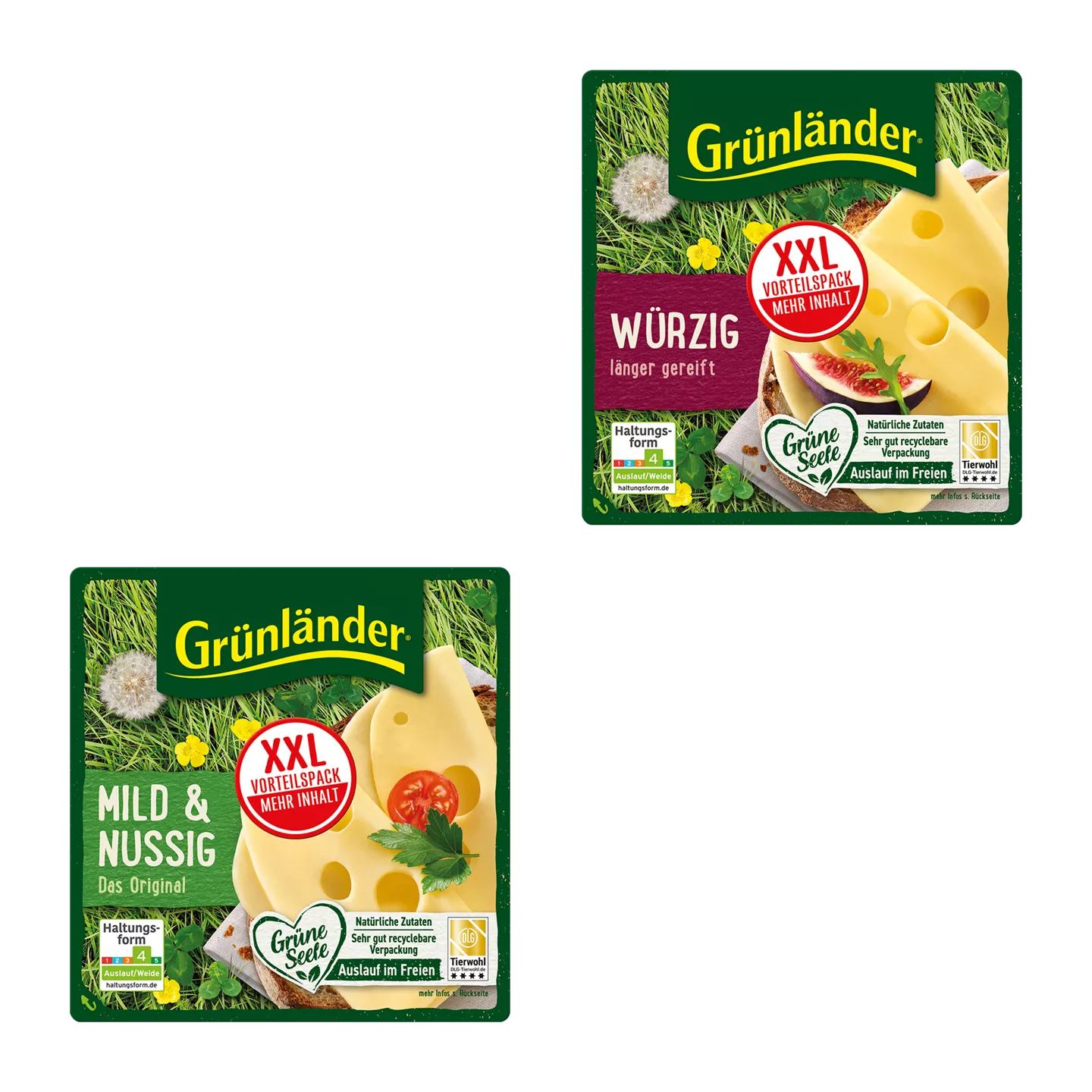 Käsescheiben XXL